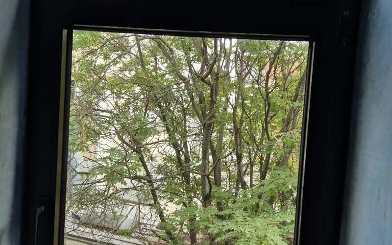 Sauberes Fenster mit Blick ins Grüne