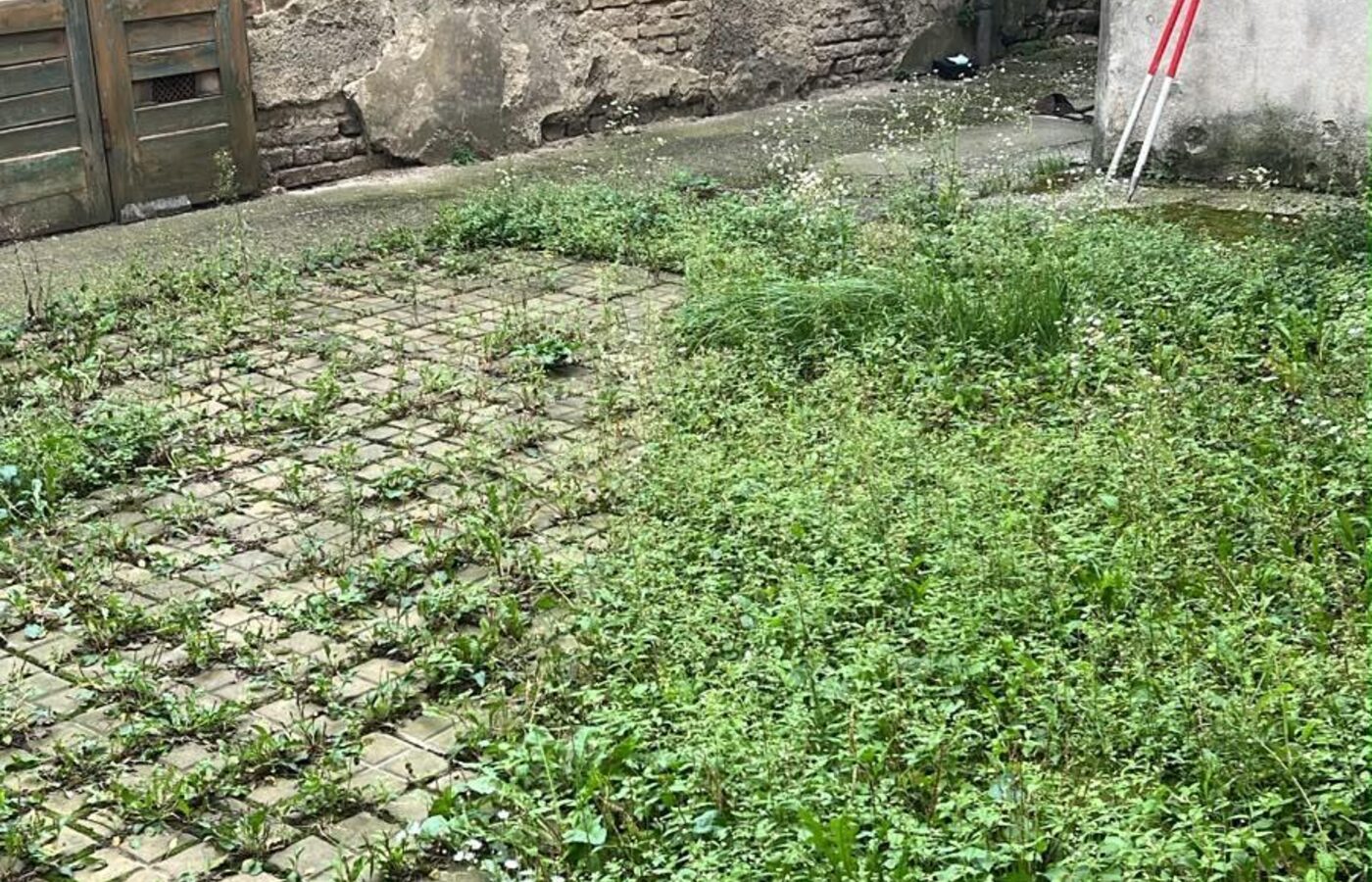 Vorher-Aufnahme: gepflasterter Innenhof, von Unkraut überwachsen